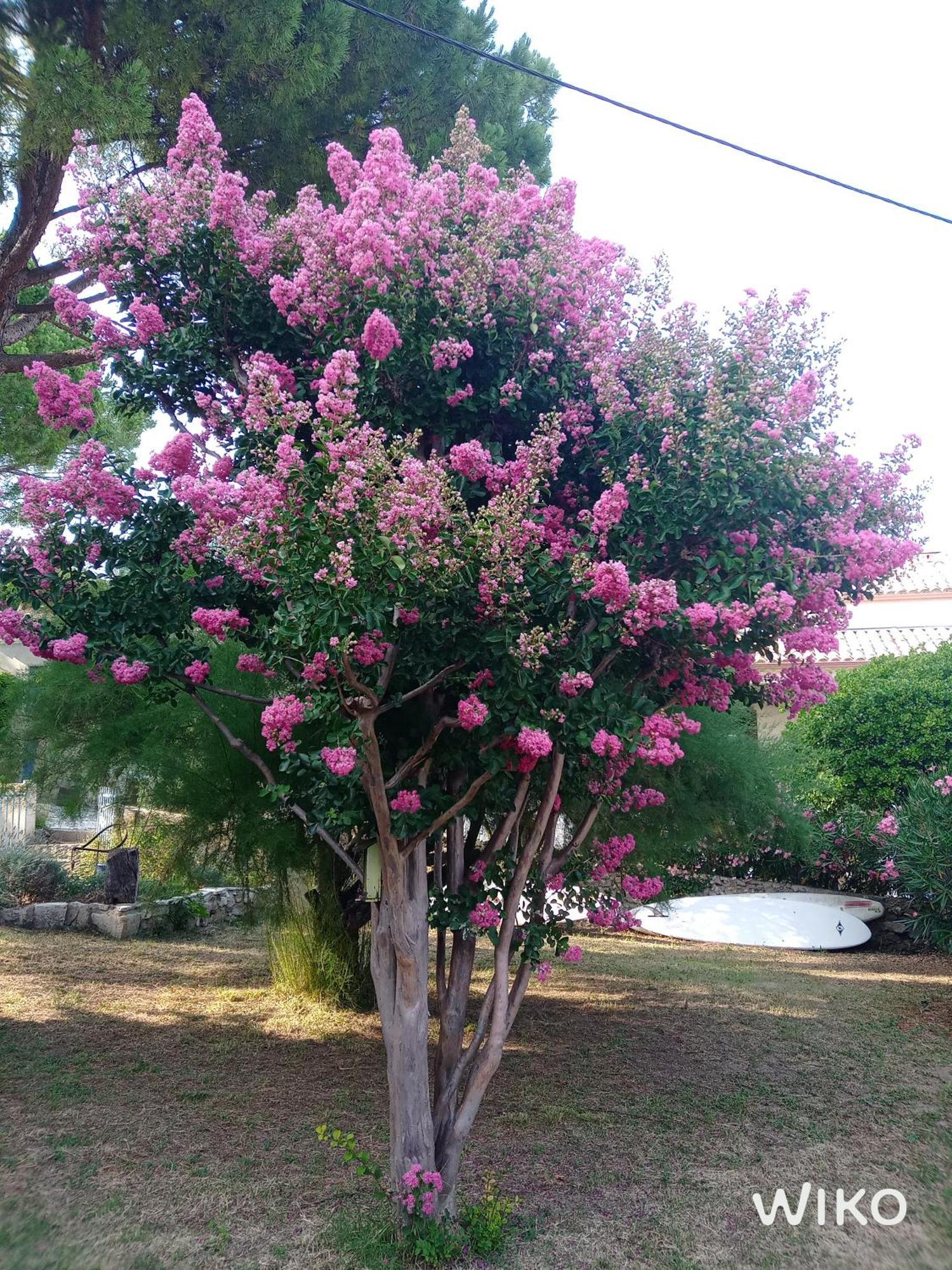 Au Fil De Soi Villa Saint-Julien-de-Peyrolas Kültér fotó